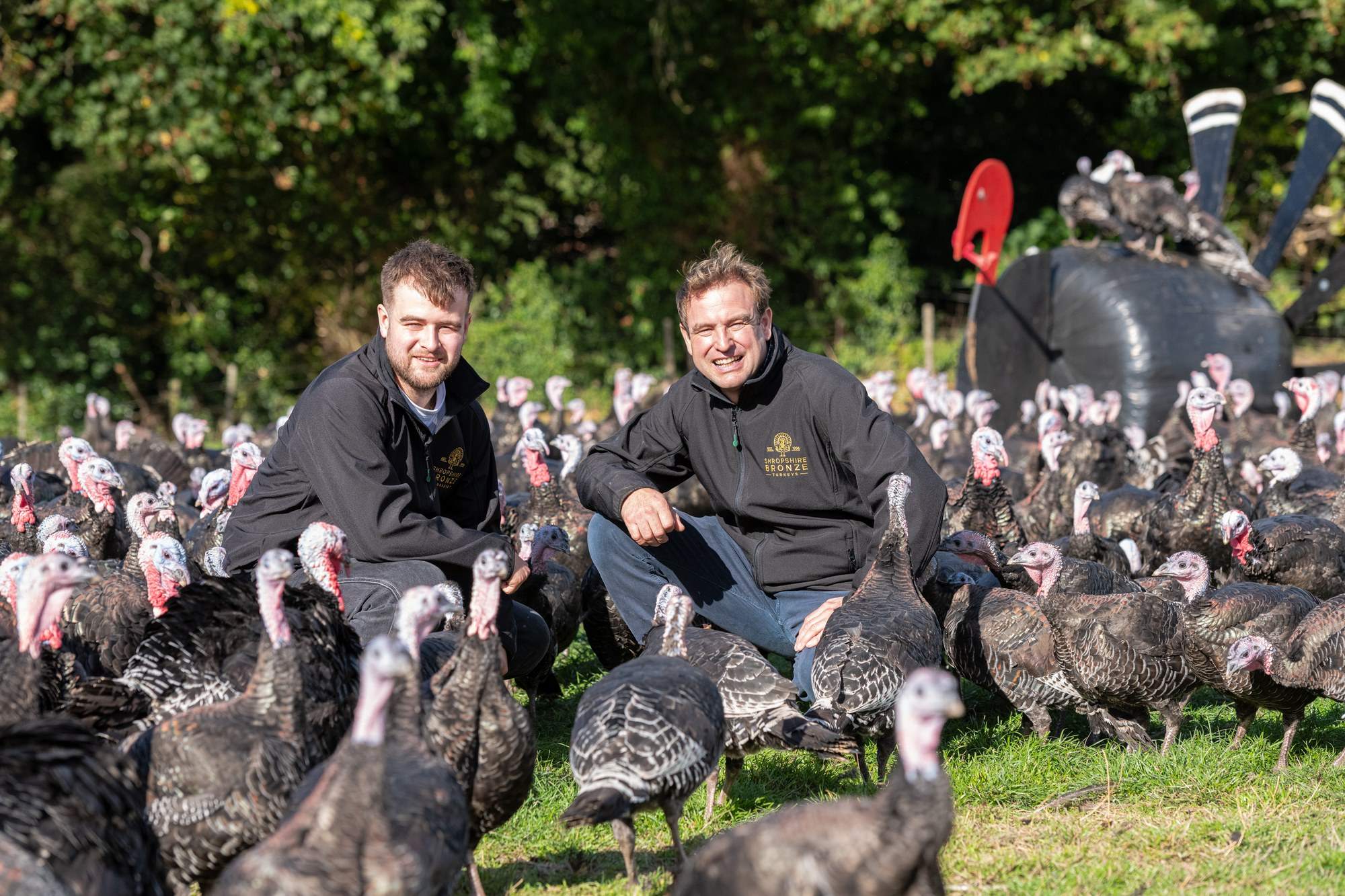 David and Sam Cartwright sitting in the pasture, surrounded by their turkeys