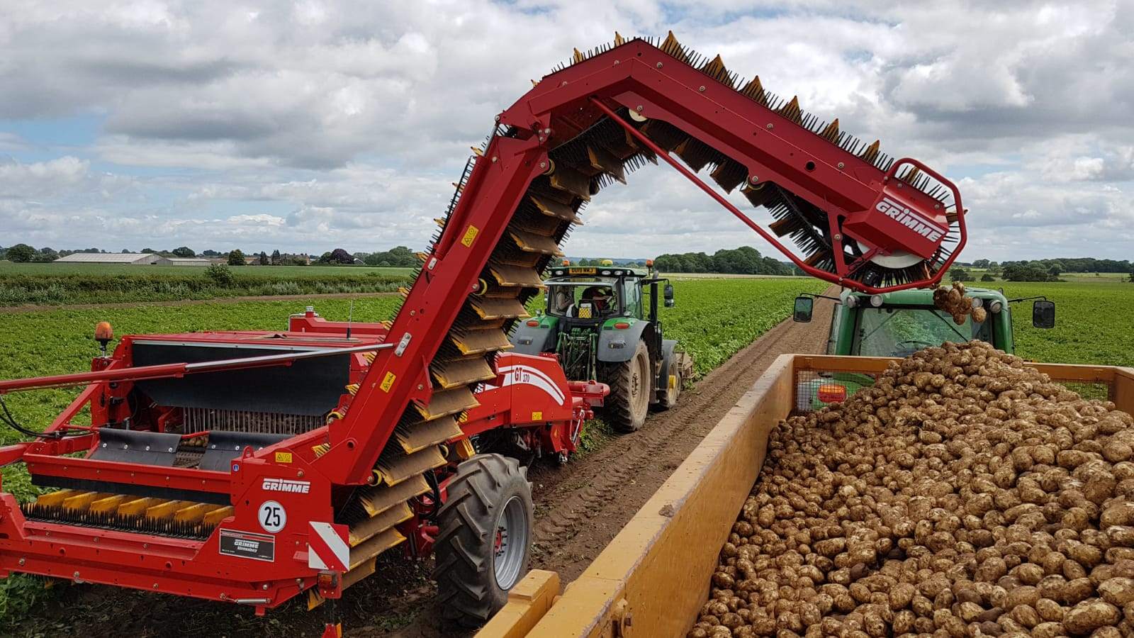 The harvester elevator carrying freshly lifted potatoes into a yellow trailer