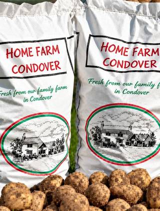 Two sacks of Home Farm Condover Wilja potatoes on the grass, with loose potatoes in front